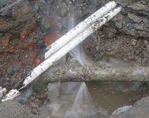 马尾水管维修费用是多少