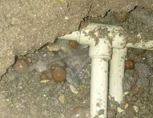 马尾卫生间测漏