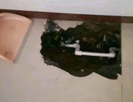 马尾卫生间测漏水多少钱